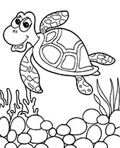 Cool piranha coloring page to print or download