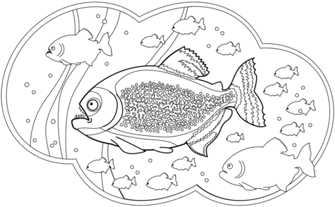 Piranhas coloring page free printable coloring pages