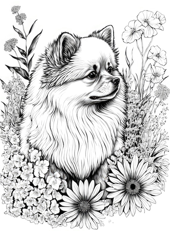 Pomeranian coloring sheet ai generated coloring page of a pom dog with flowers instant download