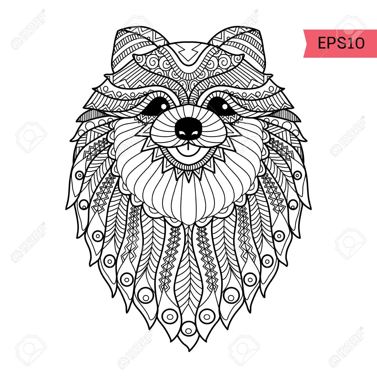 Hand drawn pom dog background for coloring page royalty free svg cliparts vectors and stock illustration image