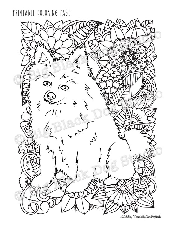 Pomeranian coloring page digital download pom