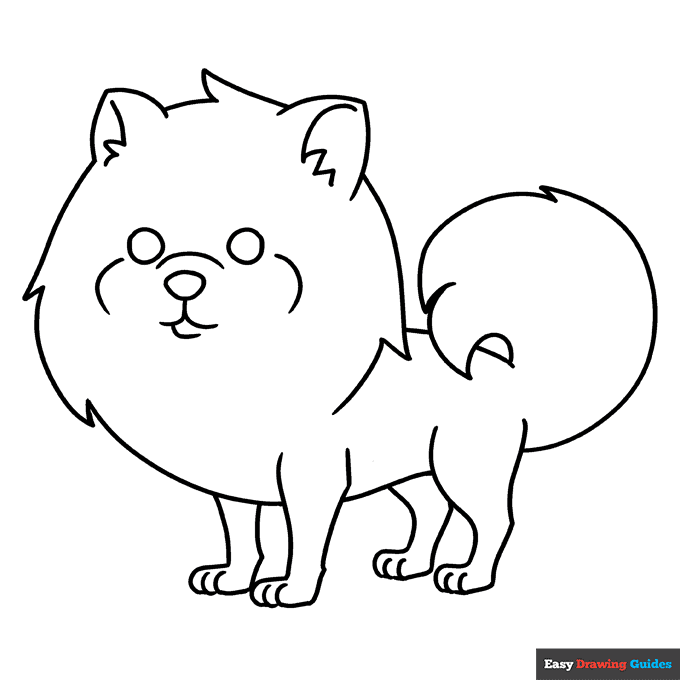 Pomeranian coloring page easy drawing guides