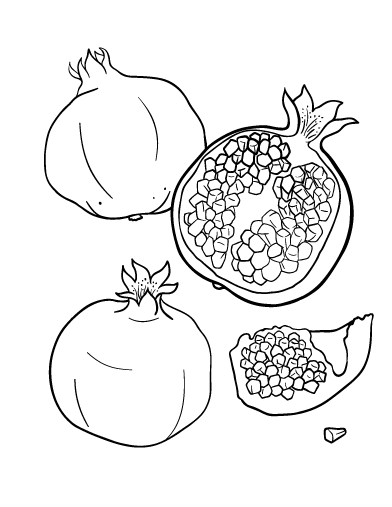 Coloring pages multiple pomegranate coloring pages