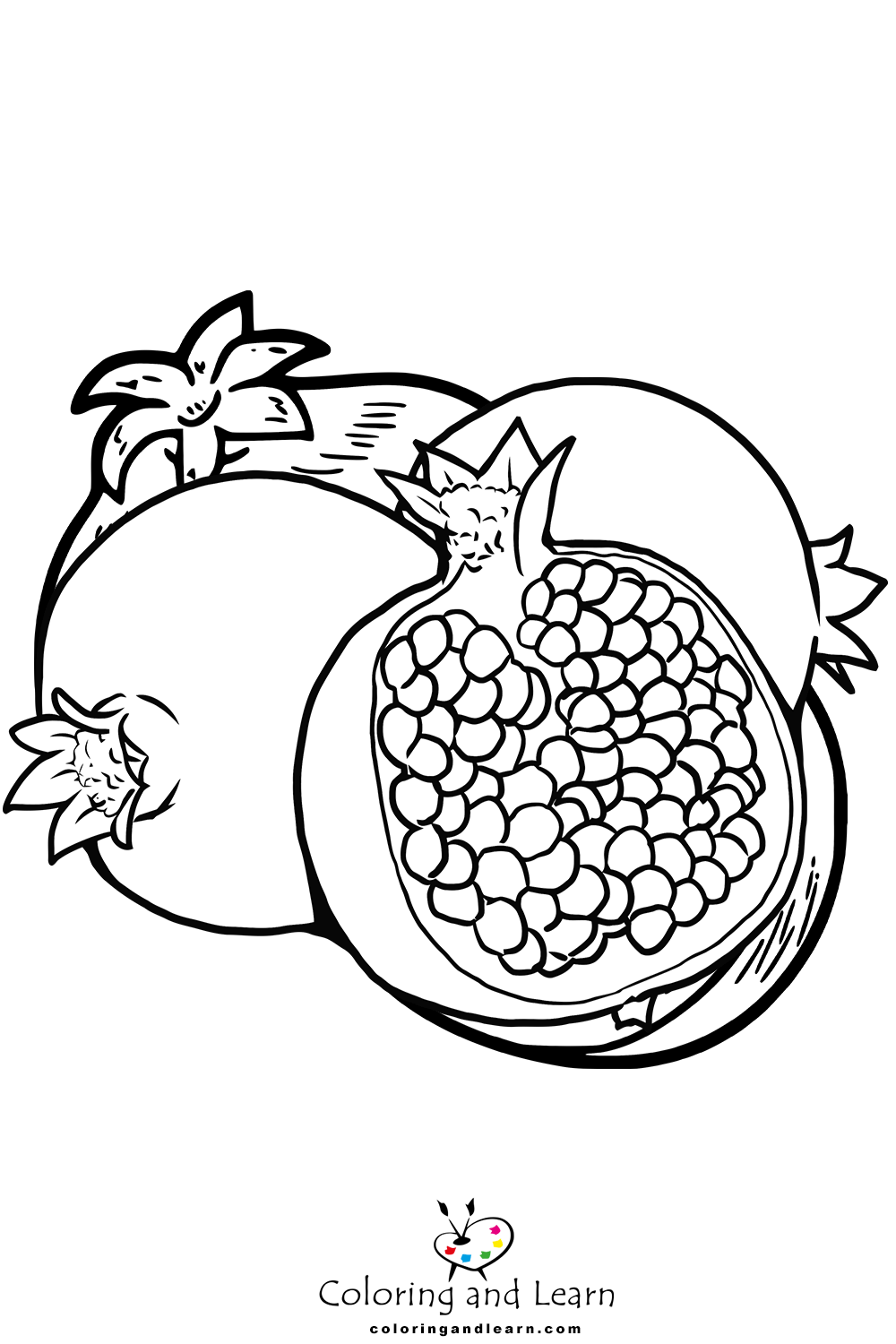 Pomegranate coloring pages