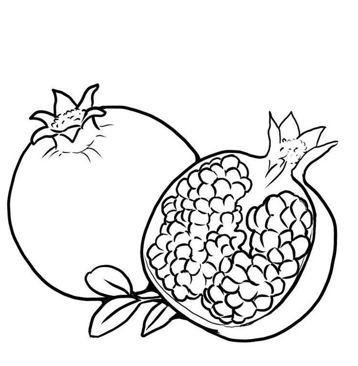 Pomegranate coloring page fruit coloring pages coloring pages free coloring pages