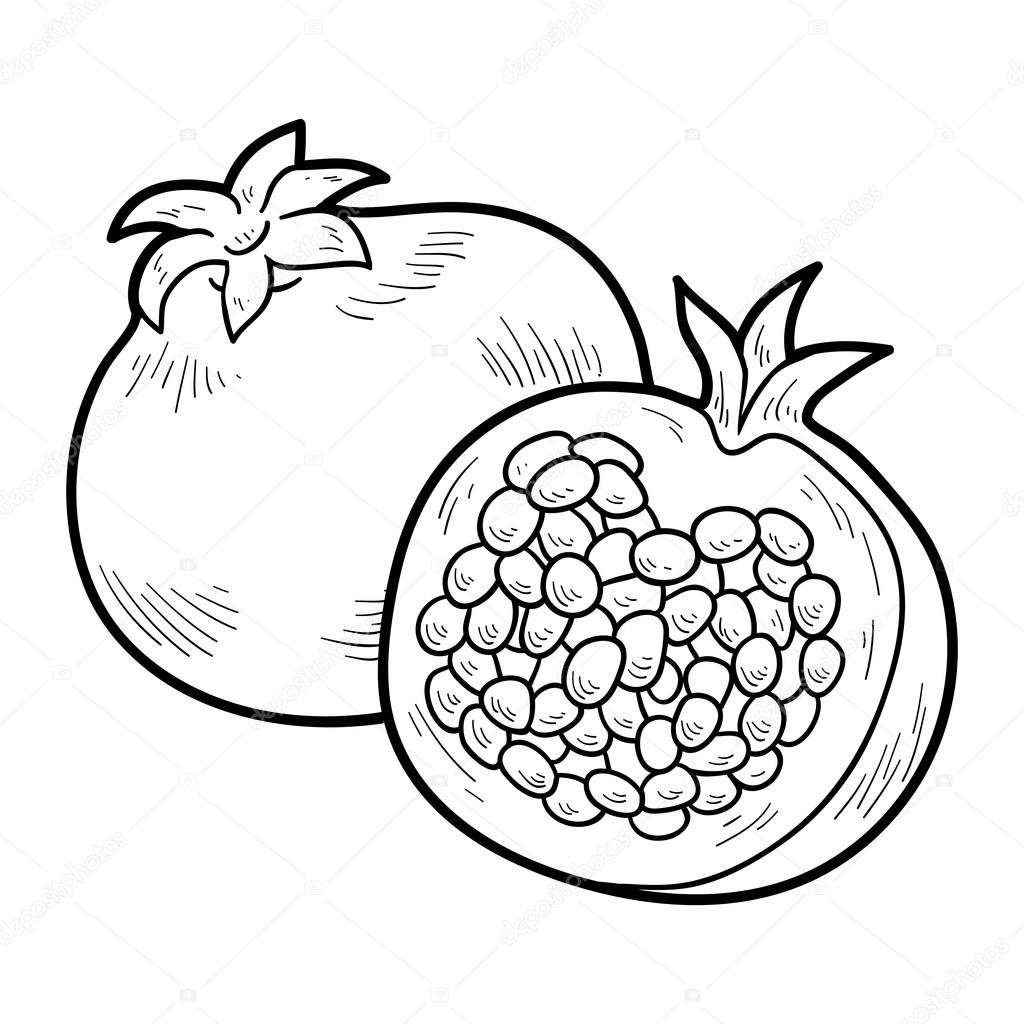 Coloring book fruits and vegetables pomegranate stock vector by ksenyasavva