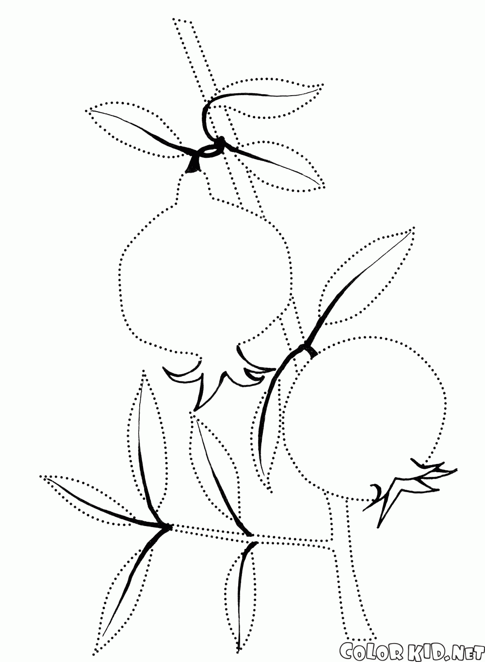 Coloring page