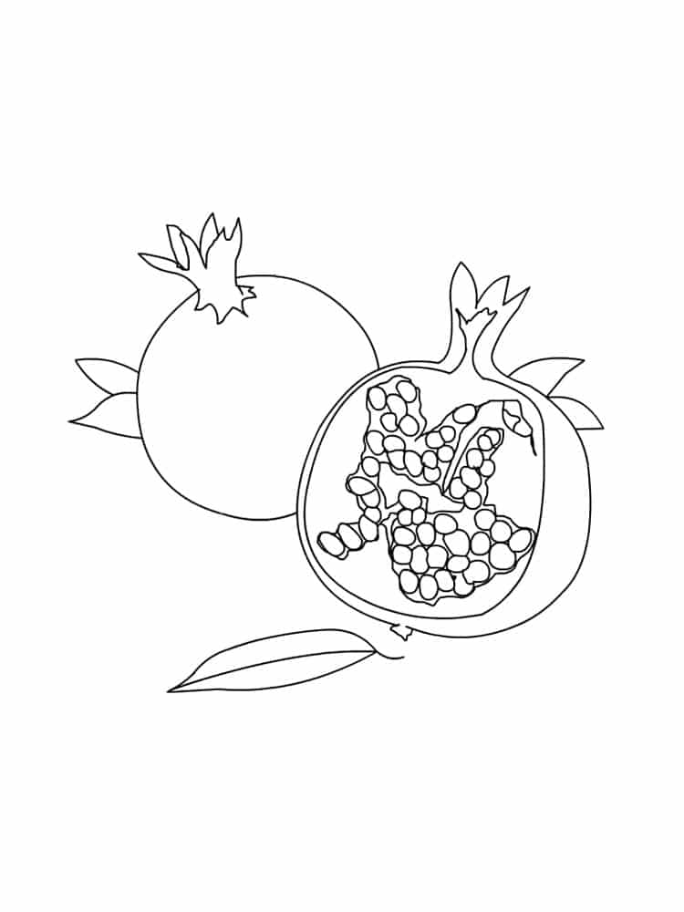 Painting of pomegranates with leaves coloring page