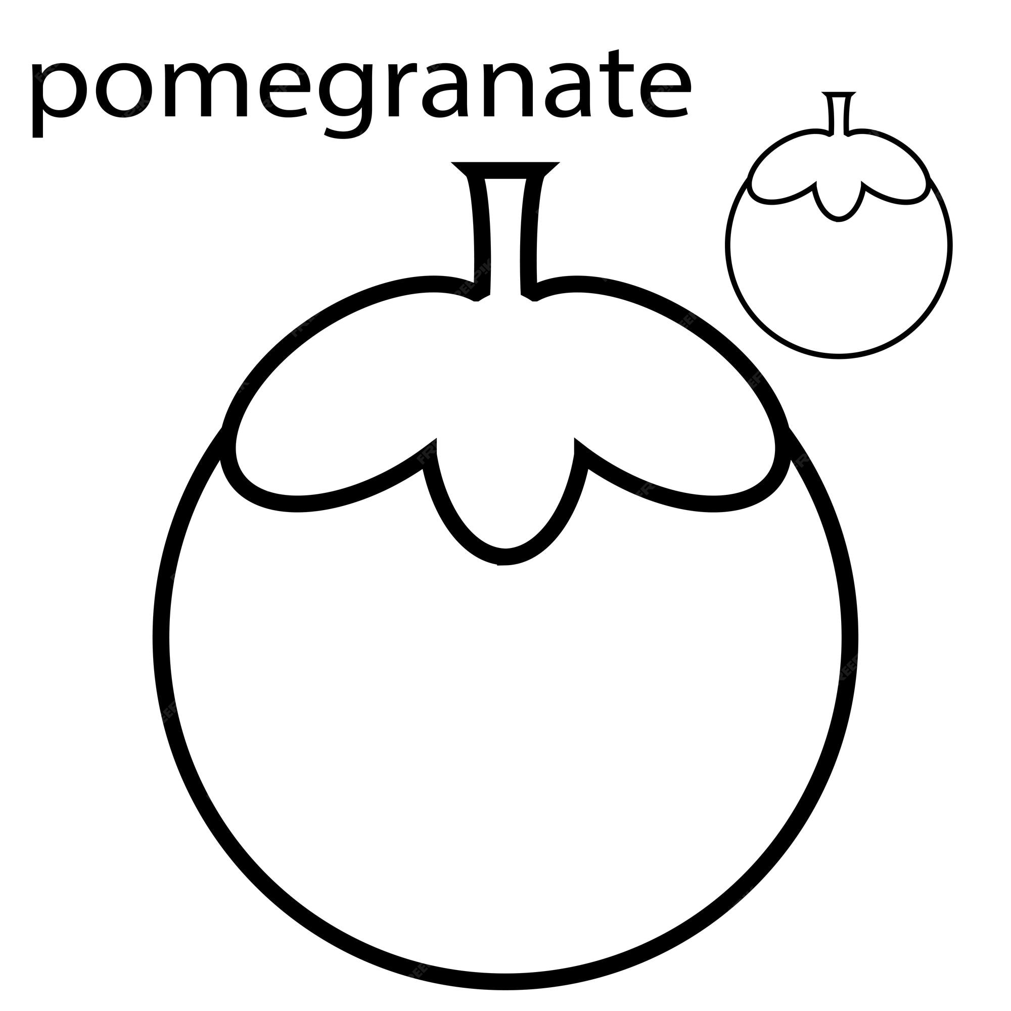 Premium vector coloring pages pomegranate