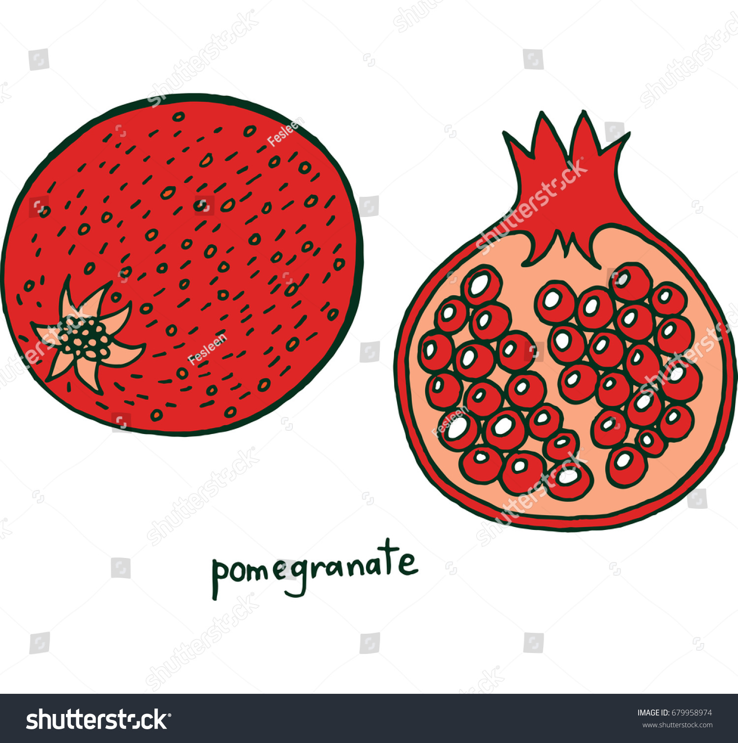 Pomegranate fruit coloring page graphic raster stock illustration