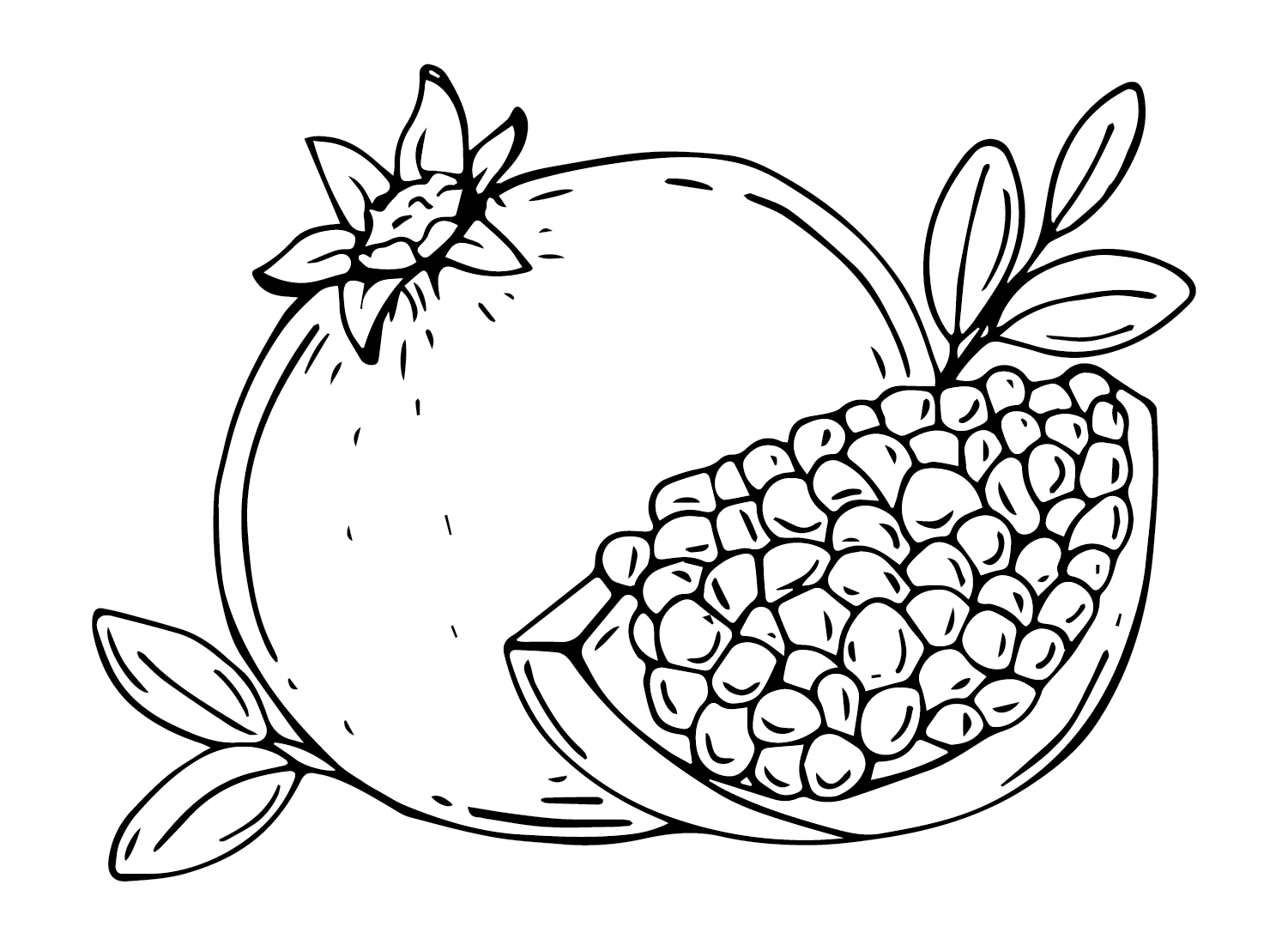 Pomegranate coloring pages printable for free download