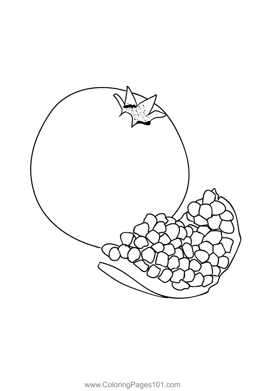 Pomegranate coloring page for kids