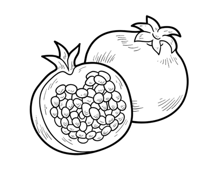 Pomegranate coloring pages