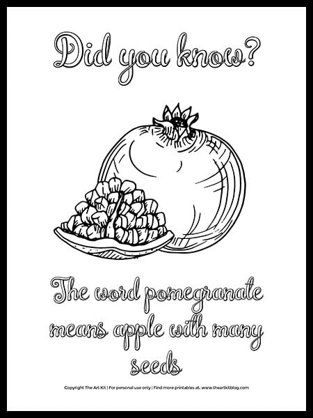 Free printable pomegranate coloring page with fun fact â the art kit