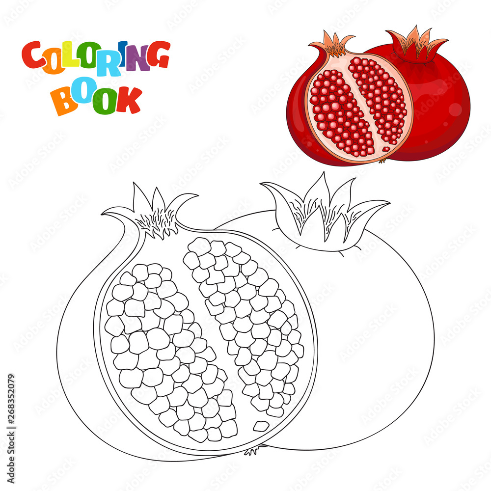 Coloring book page for preschool children with outlines of pomegranate and a colorful copy of it vector illustration of pomegranate for kids education vector