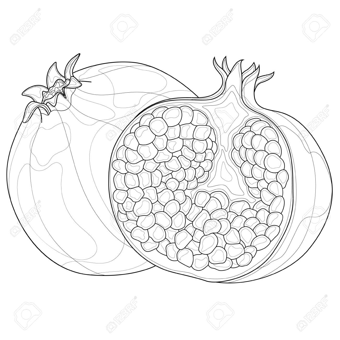 Pomegranate fruit coloring book antistress for children and adults illustration isolated on white backgroundblack and white drawingzen