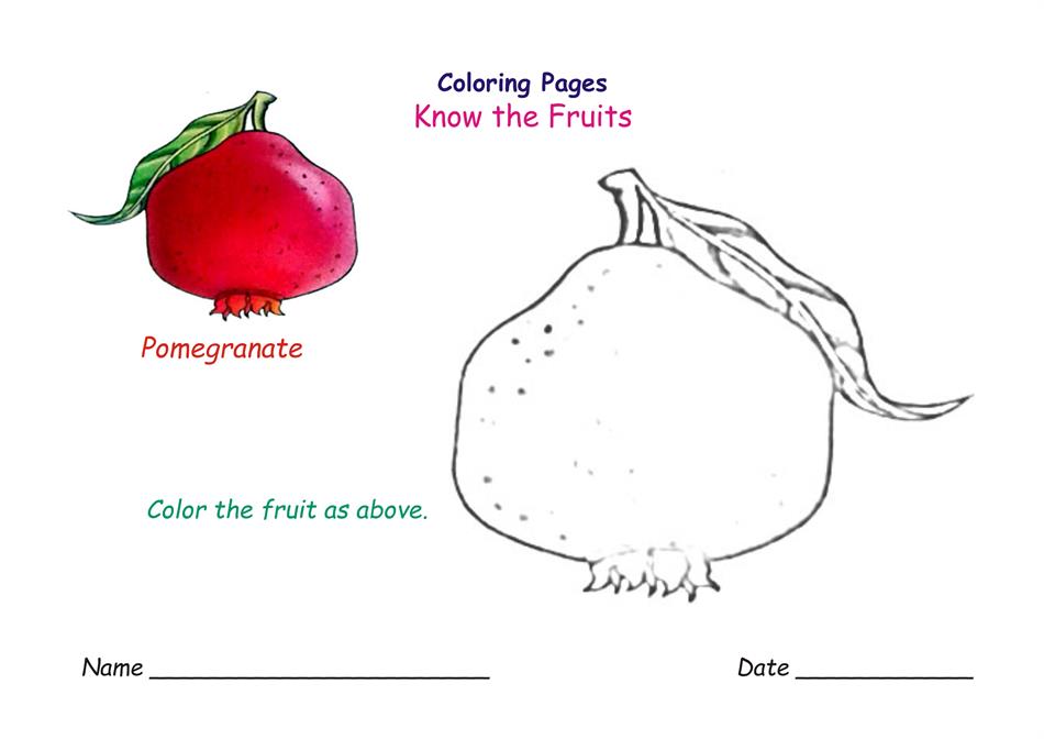 Coloring pages for fruits