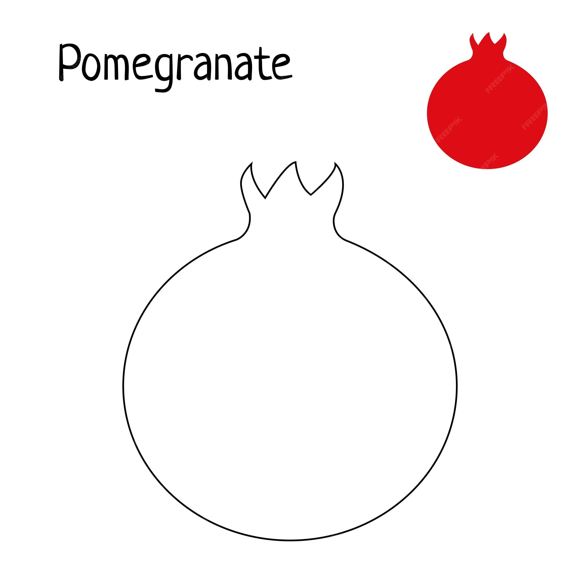 Premium vector pomegranate coloring page