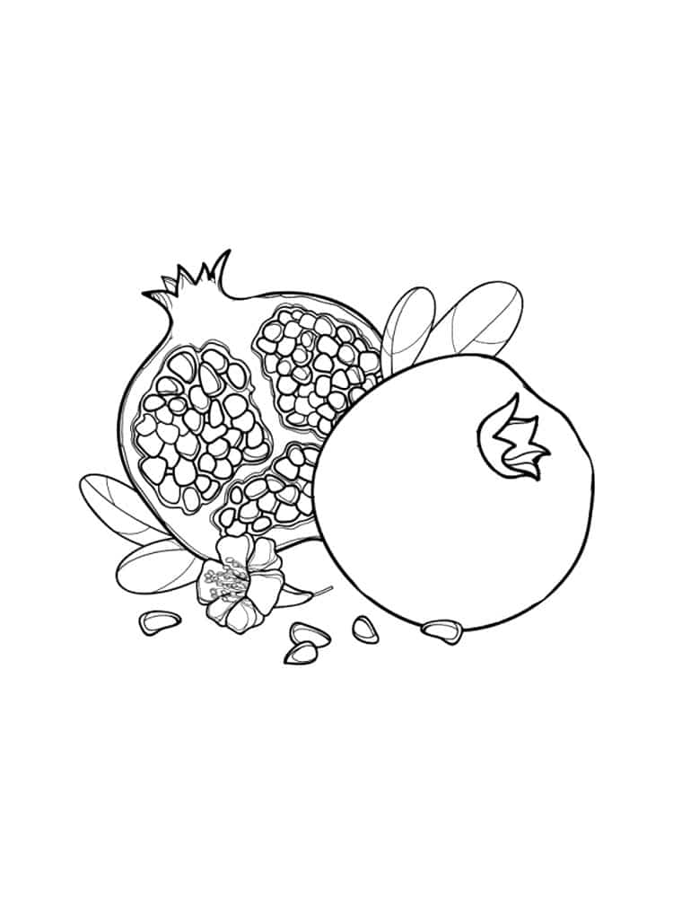 Painting of a whole pomegranate and a pomegranate with a flower coloring page