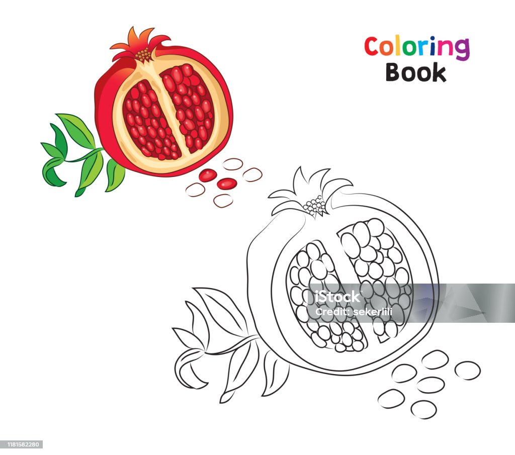 Coloring page for children pomegranate stock illustration