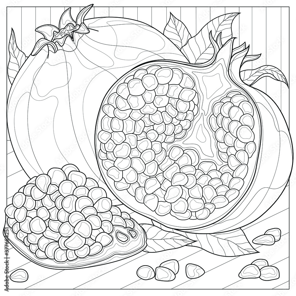 Pomegranate fruit coloring book antistress for children and adults illustration isolated on white backgroundblack and white drawingzen