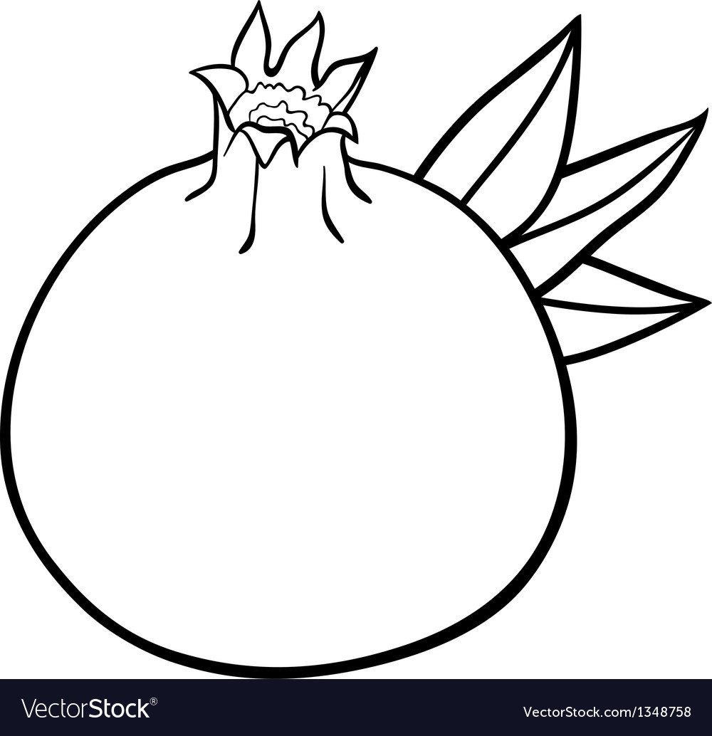 Pomegranate fruit for coloring book royalty free vector