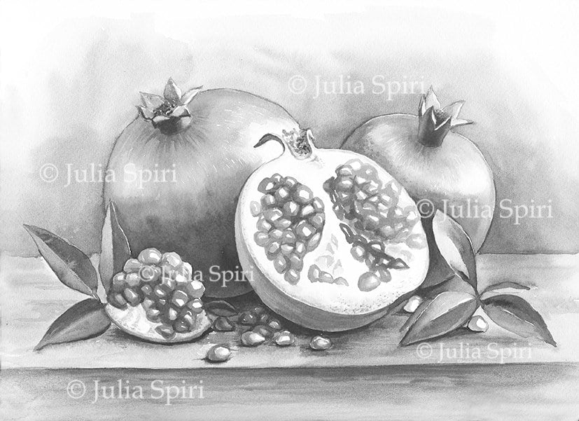 Grayscale coloring pages digital stamp fruit still life pomegranat â the art of julia spiri