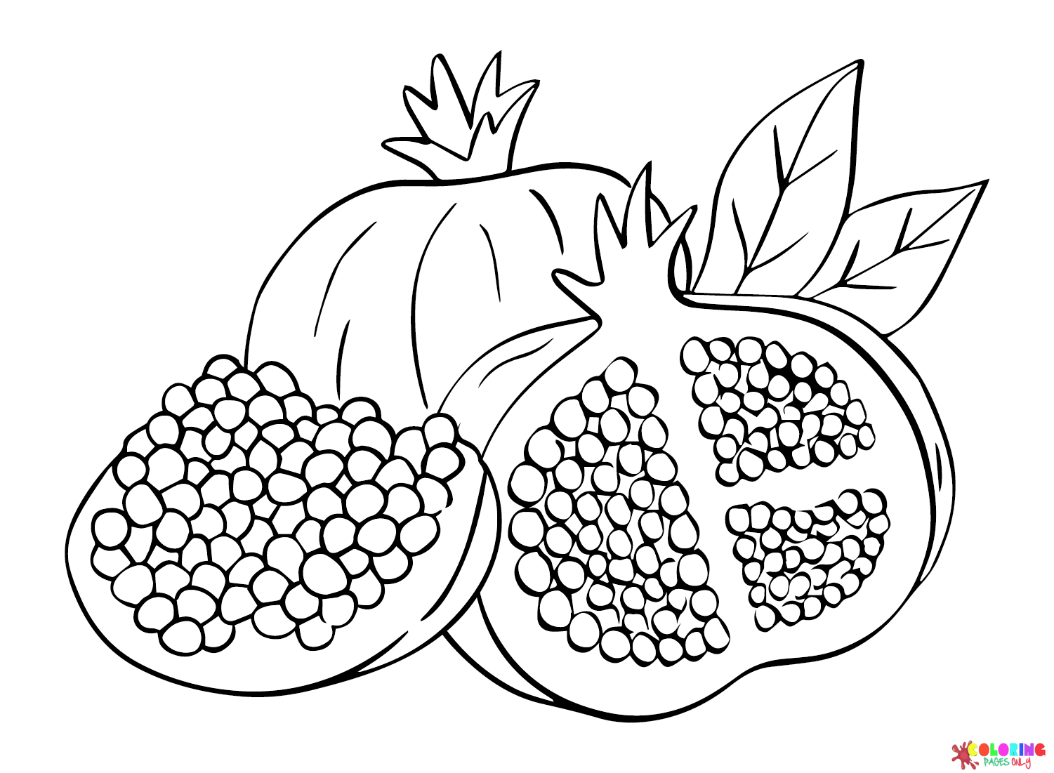 Pomegranate coloring pages free printable coloring pages coloring pages printable coloring pages