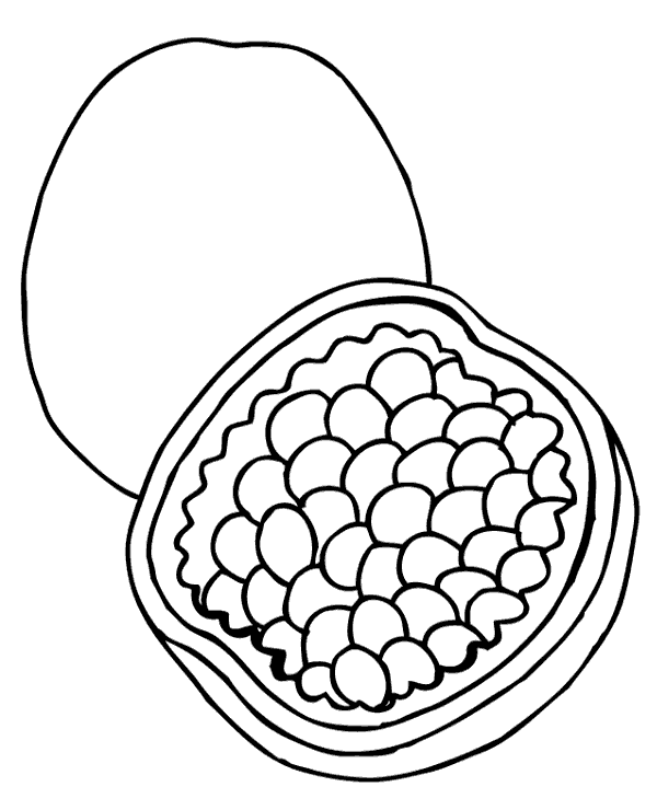 Pomegranate fruit coloring page