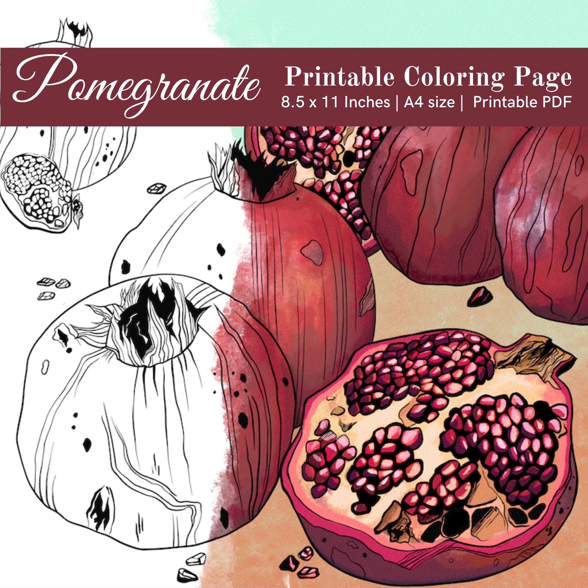 Printable coloring page pomegranates food coloring page