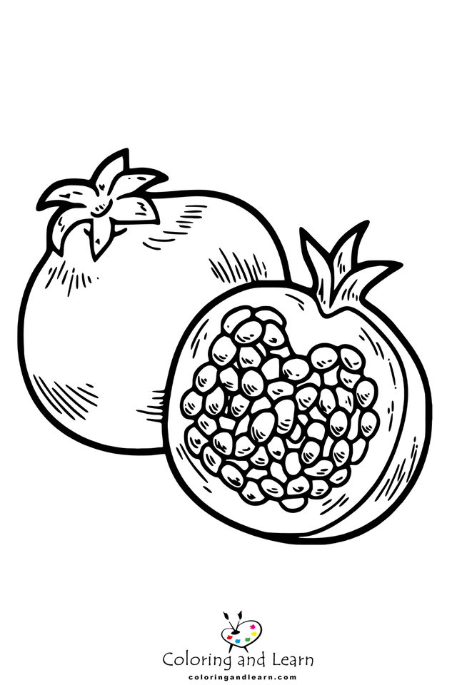 Pomegranate coloring pages rcoloringpages