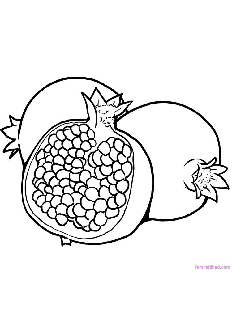 Pomegranate coloring pictures who doesnt know pomegranates this fruit which is identical to red and hâ fruit coloring pages coloring pictures coloring pages