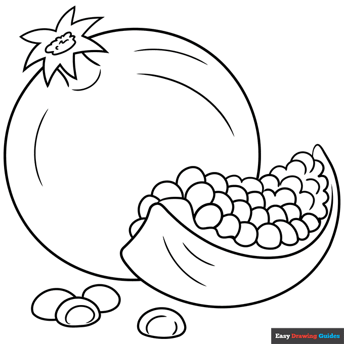 Pomegranate coloring page easy drawing guides