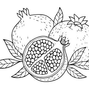 Pomegranate coloring pages printable for free download