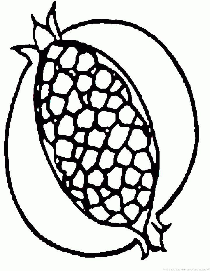 Coloring pages pomegranate coloring imges