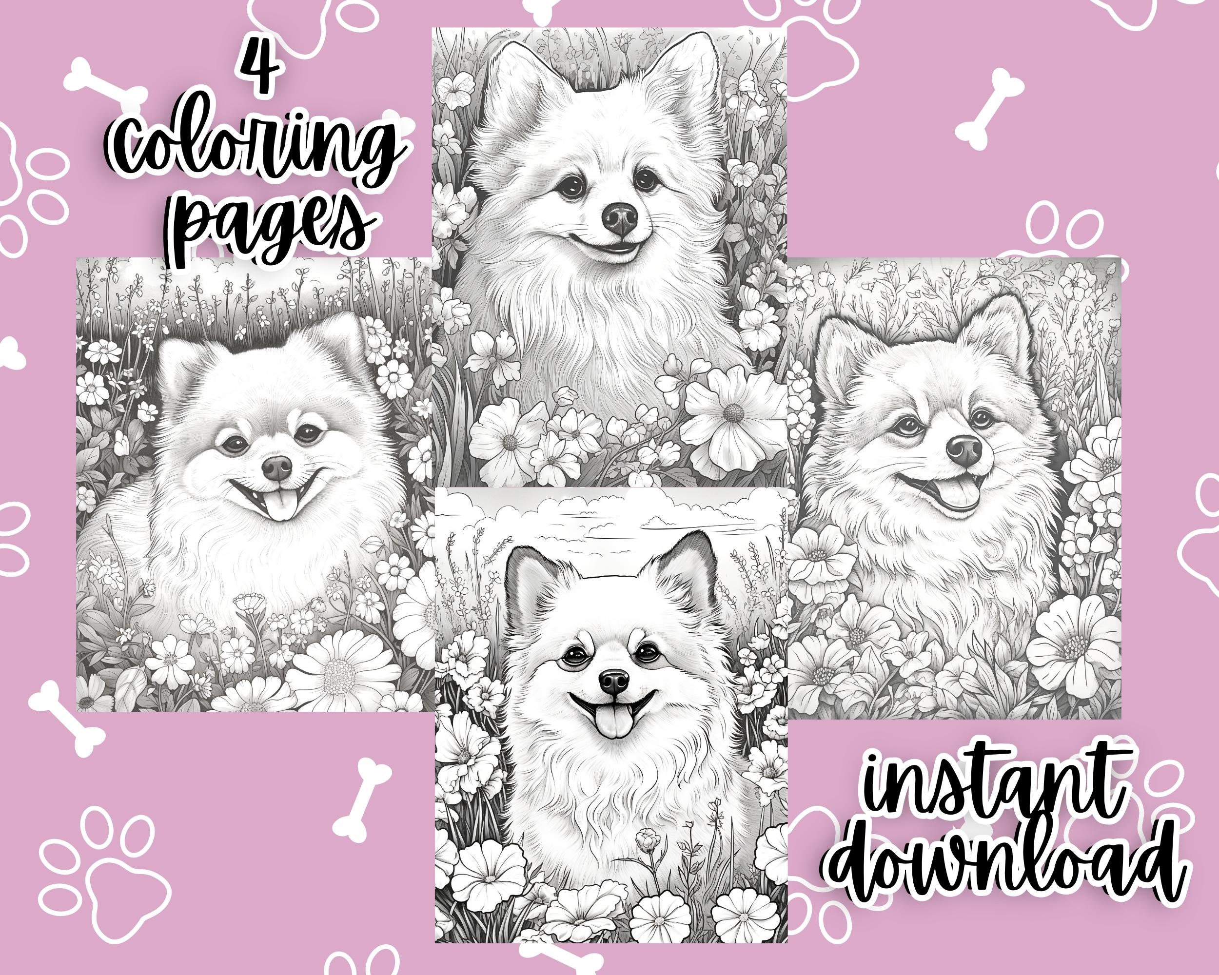 Dog coloring pages pomeranian coloring pages dog lovers instant download