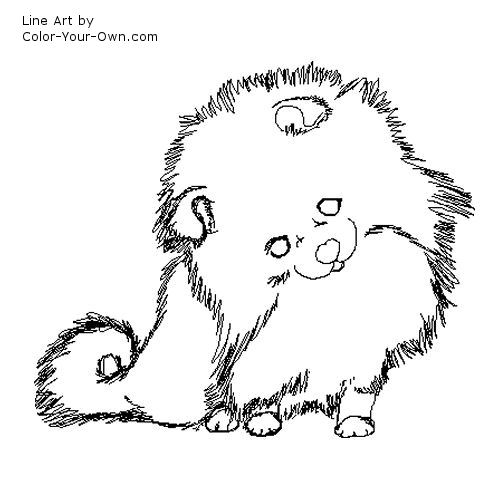 Pomeranian puppy coloring page