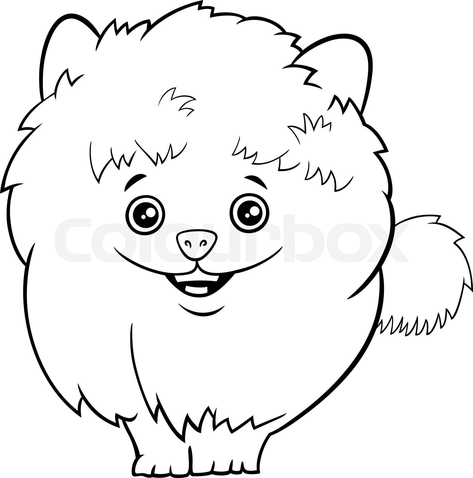 Cartoon pomeranian dog or puppy coloring book page stock vector