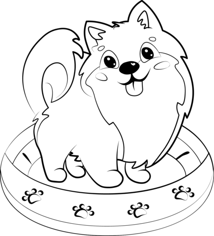 Pomeranian puppy coloring page free printable coloring pages