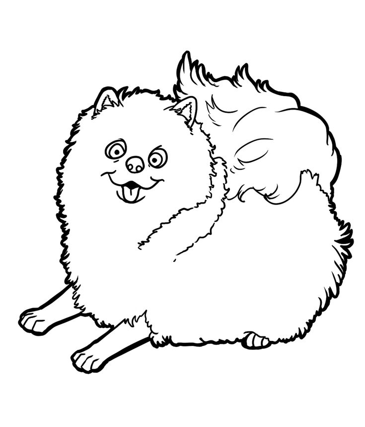 Pomeranian coloring pages dog coloring page dog coloring book puppy coloring pages