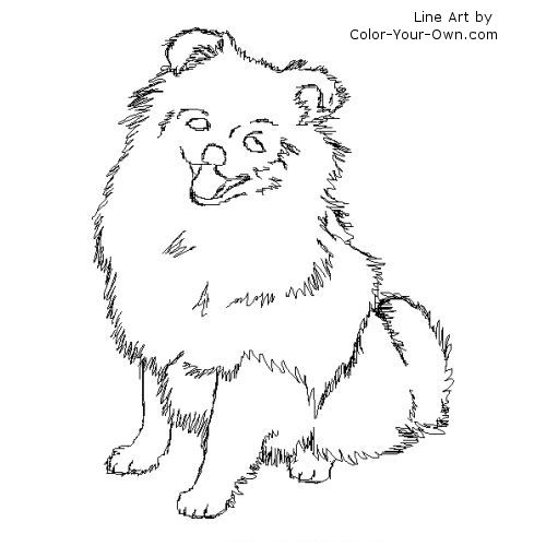 Pomeranian dog coloring page