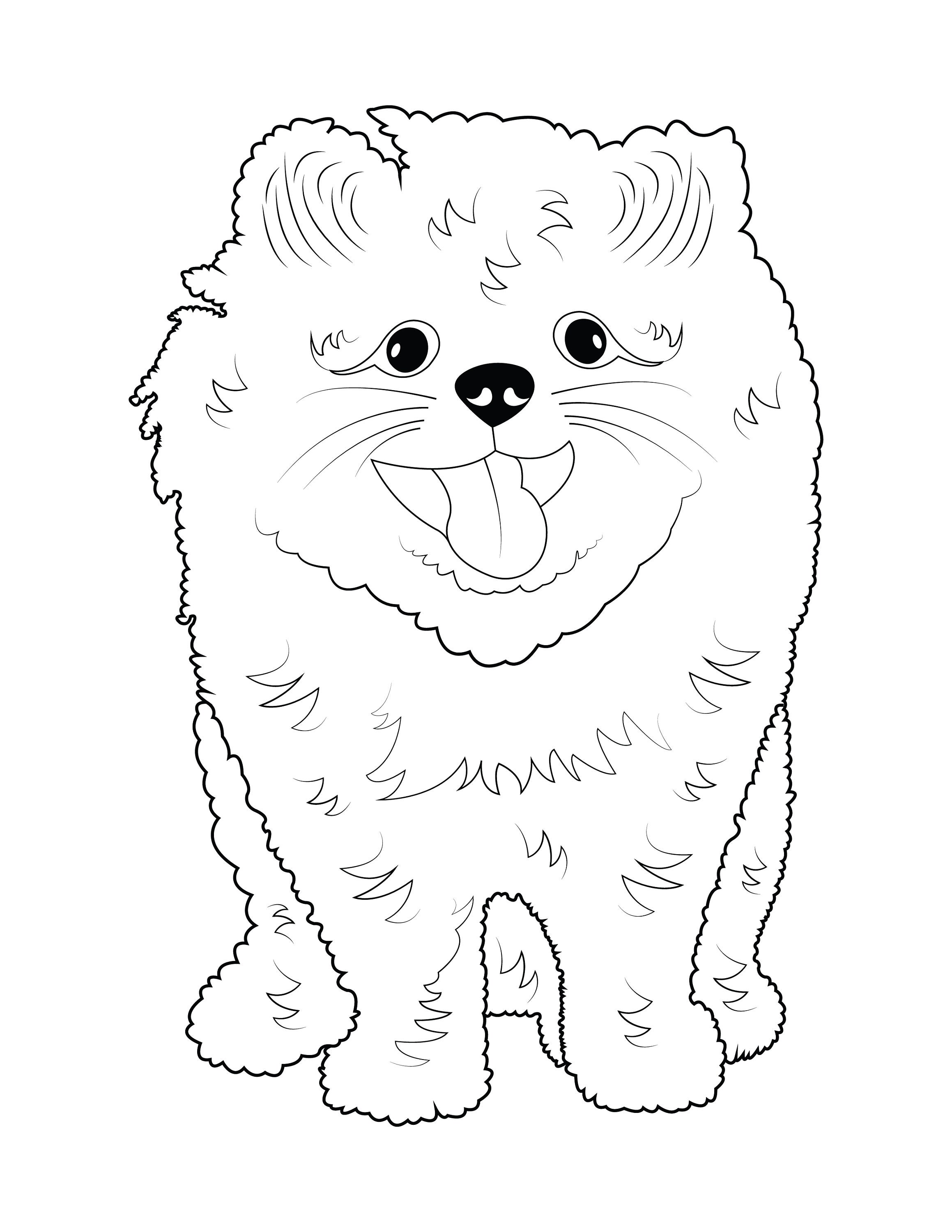 Printable coloring pages dog pomeranian instant digital download