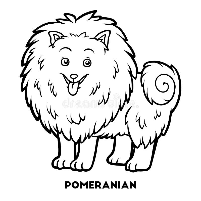 Coloring book dog breeds pomeranian stock vector