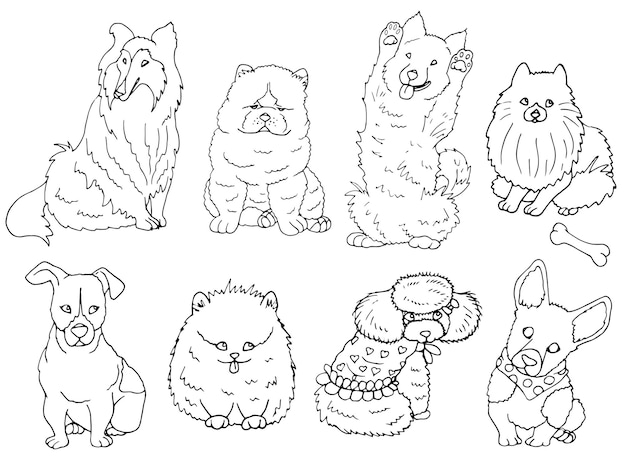 Premium vector vector set of line drawing cute dogs coloring page