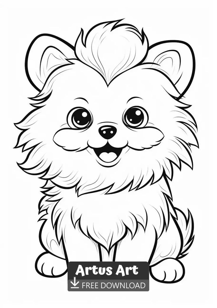 Adorable pomeranian coloring page