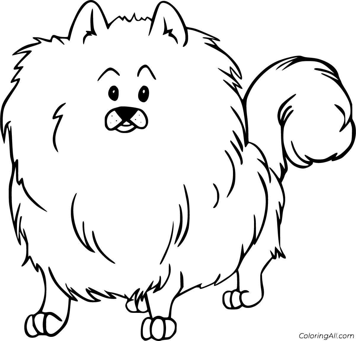 Pomeranian coloring pages