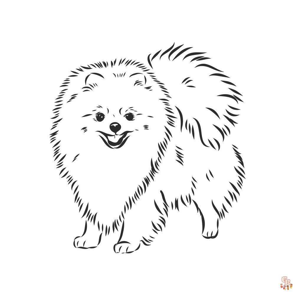 Fun and easy pomeranian and chihuahua coloring pages for kids