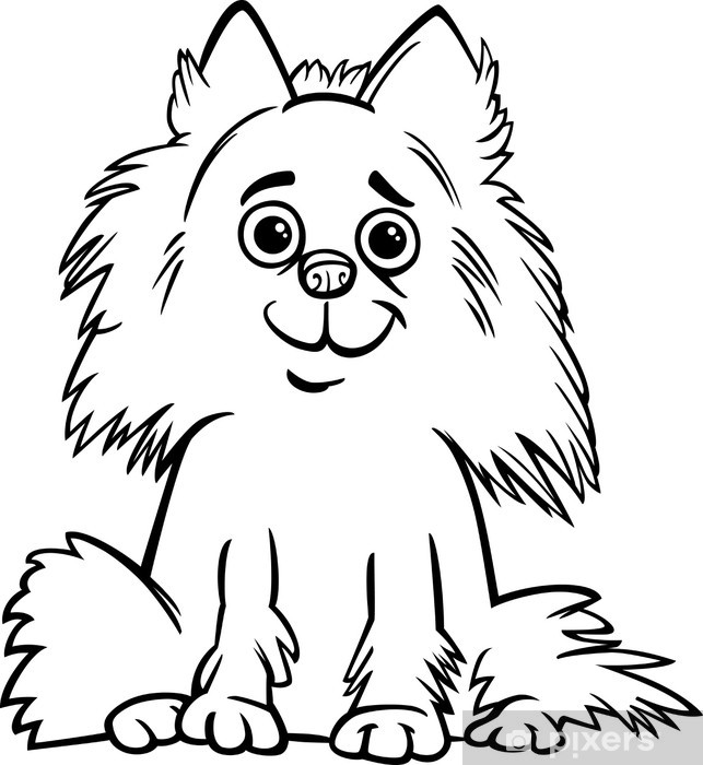 Plush blanket pomeranian dog cartoon for coloring book