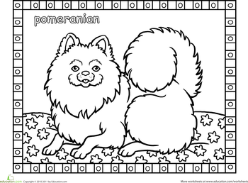 Color the pomeranian dog coloring page cat coloring book dog line drawing