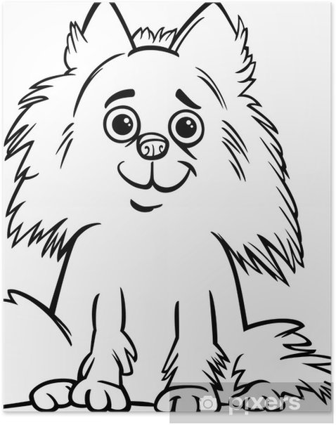 Poster pomeranian dog cartoon for coloring book